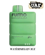 FUMMO Magnum 8000 Puffs Disposable Vape ,Dubai Watermelon Ice