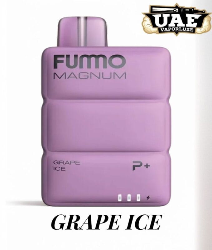 GRAPE ICE FUMMO Magnum 8000 Puffs