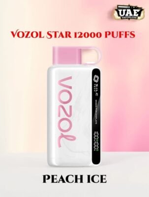 Vozol Star 12000 Puffs Disposable Vape