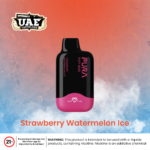 Strawberry Watermelon Ice Disposable Vape