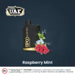 Raspberry mint