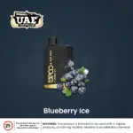 Blueberry ice