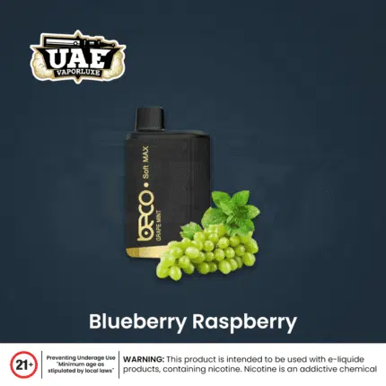 Beco Disposable Vapes device with packaging