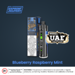 blueberry raspberry mint