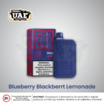 Blueberry Blackberry Lemonade