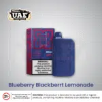 Blueberry Blackberry Lemonade