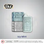 Icy Mint