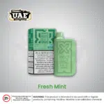 Fresh Mint