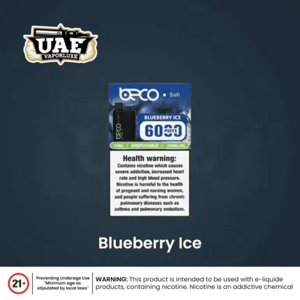Beco 6000 Puffs Disposable Vape at UAE Vapor Luxe