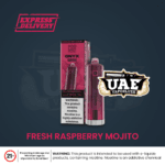 Fresh Raspberry Mojito