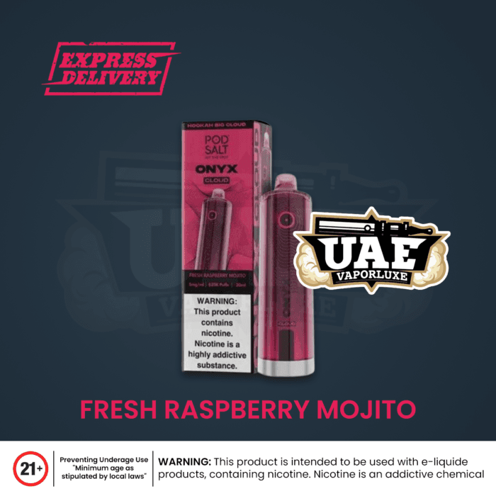 Fresh Raspberry Mojito
