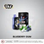 Blueberry Gum