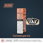 CANTALOUPE ICE Disposable