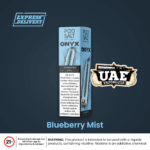Blueberry ice Disposable