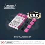 ICED WATERMELON