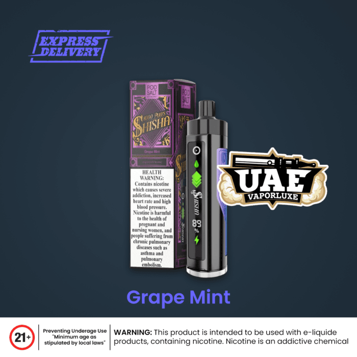 800 Puffs shisha Disposable Vape with Rich Shisha Flavor