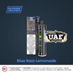 Buy Pod Salt Shisha 8000 Puffs Disposable Vape Mango Ice
