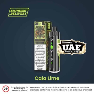 Buy Pod Salt Shisha 8000 Puffs Disposable Vape Cola Lime