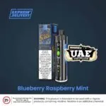 Buy Pod Salt Shisha 8000 Puffs Disposable Vape Blueberry Raspberry ice
