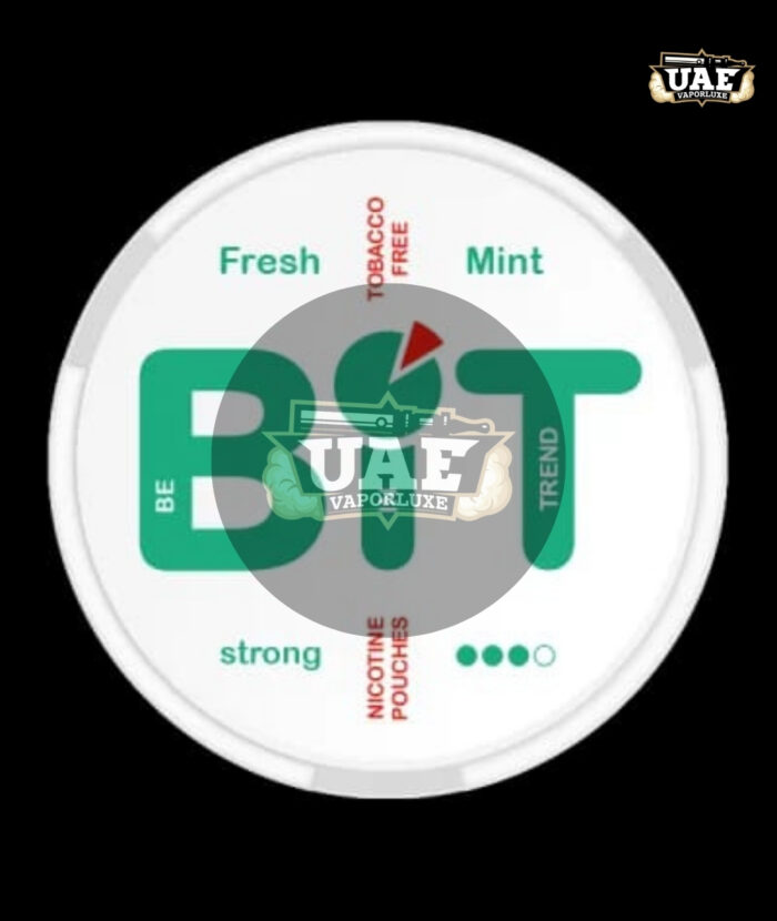 Bit Nicotine Pouches (13mg) in Dubai Ice Freash Mint