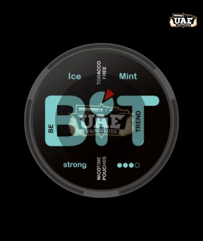 Bit Nicotine Pouches (13mg) in Dubai Ice Mint Strong