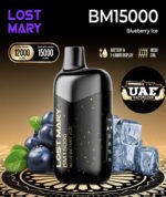 Lost Mary BM15000 Puffs Disposable Vape 50mg In UAE strwberry peach – Best Price