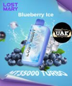Lost Mary MT 35000 Puffs Turbo Disposable Vape Blueberry ICE