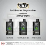 Silvaper 24000 Puffs Disposable Vape in Dubai