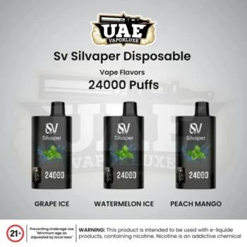 Silvaper 24000 Puffs Disposable Vape in Dubai