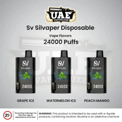 Silvaper 24000 Puffs Disposable Vape in Dubai