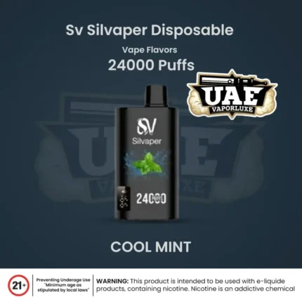 Silvaper 24000 Puffs Disposable Vape in Dubai cool Mint