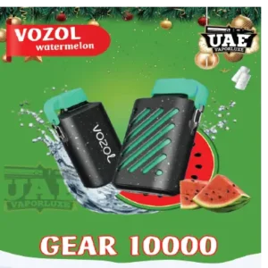 Vozol Gear 10000 Puffs