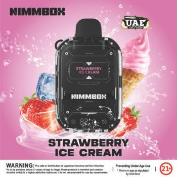 Flava Nimmbox 10000 Puffs 30mg Disposable vape Strawberry ice cream