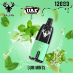Kalyan Pro 12000 Puffs gum mint Disposable Vape