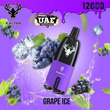 Kalyan Pro 12000 Puffs Disposable Vape at uaevaporluxe